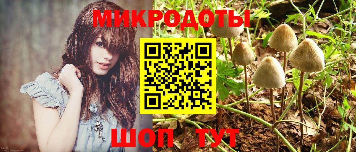 Псилоцибиновые грибы GOLDEN TEACHER  Вход с VPN  купить закладку  Златоуст 